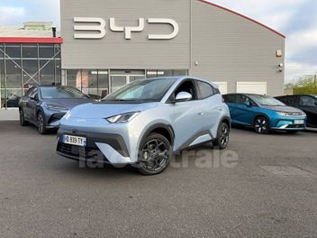 BYD 