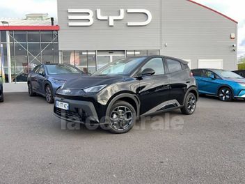 BYD DOLPHIN SURF 156 CH COMFORT 43.2 KWH