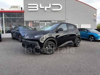 BYD 