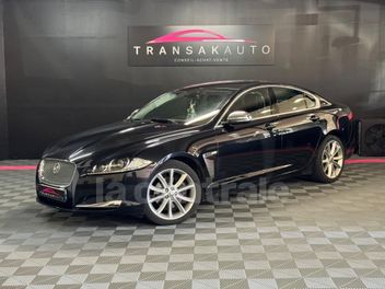 JAGUAR 