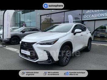 LEXUS 