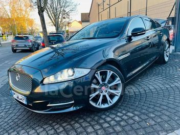 JAGUAR 