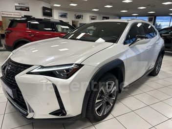 LEXUS 