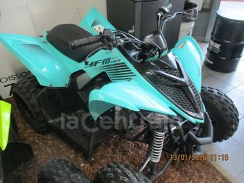 YAMAHA YFM  110 RAPTOR