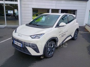 BYD DOLPHIN SURF 88 CH BOOST 43.2 KWH