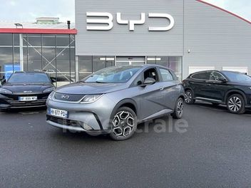 BYD 