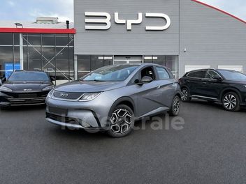 BYD 