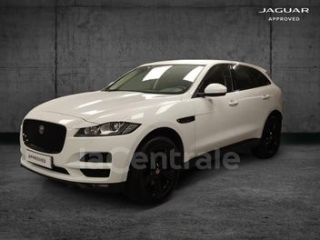 JAGUAR 