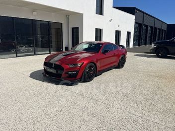 SHELBY 