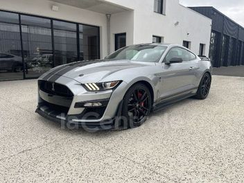 SHELBY 