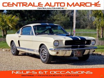 SHELBY COBRA 289 FASTBACK