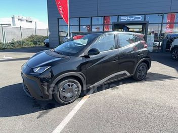 BYD 