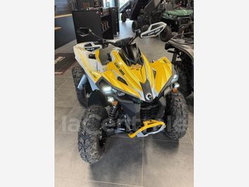 CAN AM RENEGADE 650