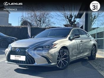 LEXUS 