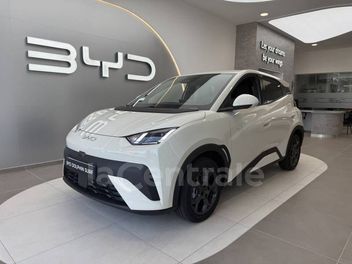 BYD 