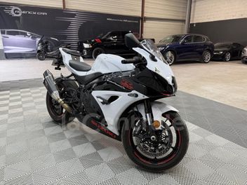SUZUKI GSX-R 1000