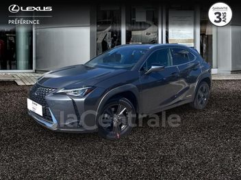 LEXUS 