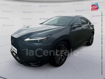 LEXUS 