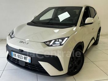 BYD 