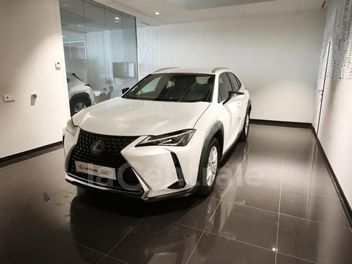 LEXUS 