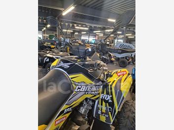 CAN AM RENEGADE 650