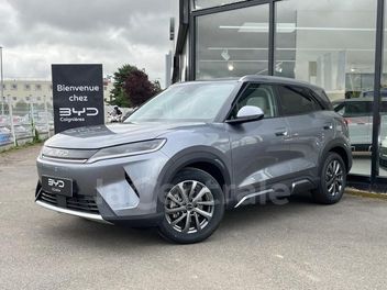 BYD 
