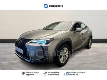 LEXUS 