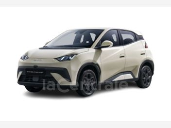 BYD 