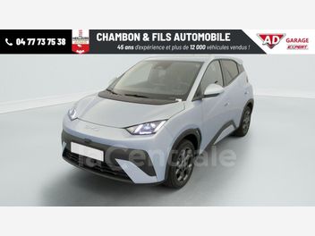 BYD 