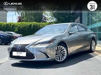 LEXUS 