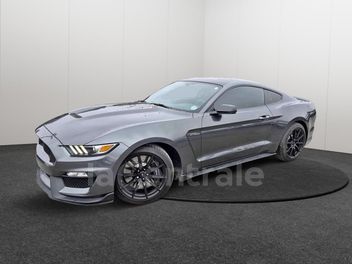 SHELBY 