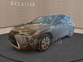 LEXUS 