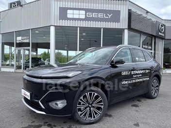 GEELY STARRAY 18.4 KWH MAX