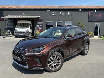 LEXUS 
