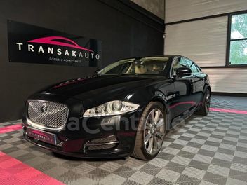 JAGUAR 
