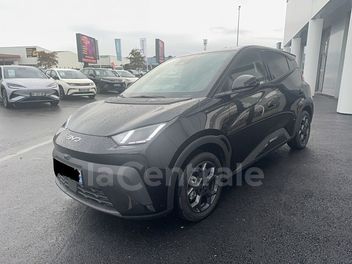 BYD 