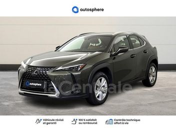 LEXUS 