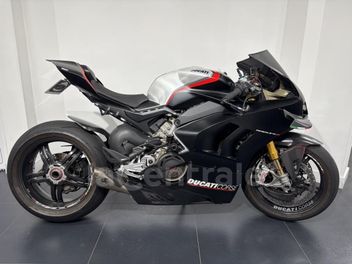 DUCATI PANIGALE V4 SP 1100