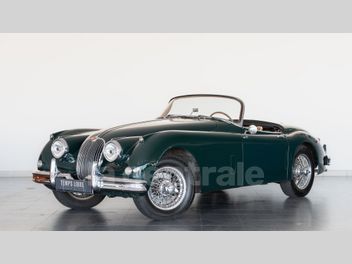 JAGUAR 