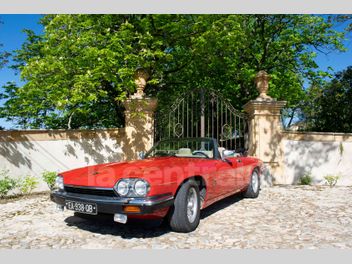 JAGUAR 