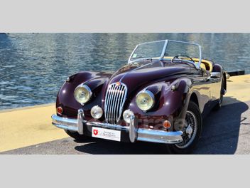 JAGUAR 