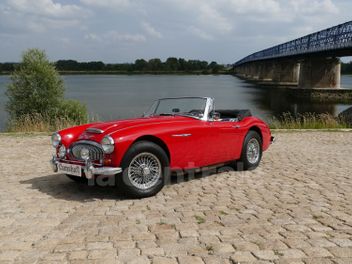 AUSTIN HEALEY 