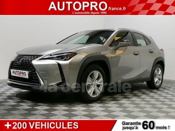LEXUS UX 2.0 250H 185 2WD PACK BUSINESS