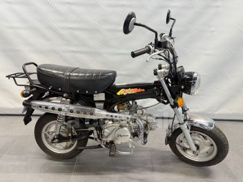 SKY TEAM DAX REPLICA 110