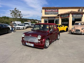 ROVER MINI CABRIONI