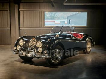 JAGUAR 