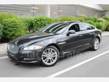 JAGUAR 
