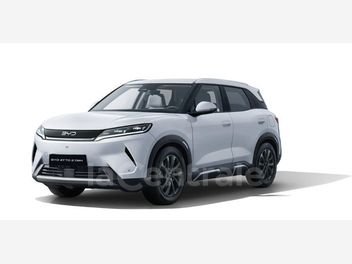 BYD ATTO 2 45.1 KWH 177 ACTIVE