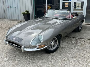 JAGUAR 